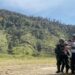 Akses Darat Terhambat, Pangkoops TNI Habema Perintahkan Evakuasi Udara Ibu Sinta dari Mbua