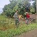 Dari Sawah untuk Ketahanan Pangan, Babinsa Dampingi Petani Panen Padi
