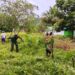 Gotong Royong di Batom sambut HUT Ke-81 TNI