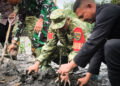 Jaga Kelestarian Lingkungan, Kodim 1710/Mimika Tanam Mangrove Sambut HUT ke-81 TNI