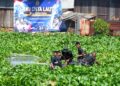 Prajurit Korps Marinir Bersihkan Sungai Rolak Surabaya dalam Gerakan “Aku Cinta Laut”