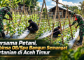 Bersama Petani, Babinsa 08/Spu Bangun Semangat Pertanian di Aceh Timur