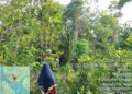 Perkuat Mitigasi Bencana, Babinsa Koramil 06/Senayang Ajak Warga Mamut Waspada Karhutla dan Puting Beliung