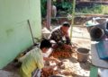 Tak Ada Jarak dengan Warga, Babinsa Koramil 07/Salak Ikut Kupas Pinang di Teras Rumah