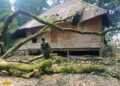 Babinsa Nagari Kasang Bantu Warga Terdampak Pohon Tumbang Akibat Hujan Lebat dan Angin Kencang