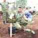 Kodam XIX/Tuanku Tambusai Gaungkan Green Defence melalui Penanaman 20.000 Pohon