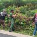 Wujudkan Lingkungan Bersih, Babinsa Bersama Unsur Pemerintahan Kecamatan Pancur Batu Gotong Royong di Wilayah Binaan