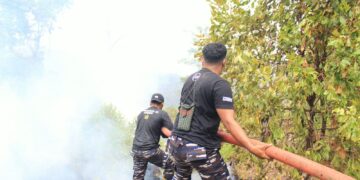 Hari Keempat Penanganan Karhutla di Saleman, Satgas Kodaeral IX Terus Berjuang Padamkan Api