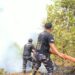 Hari Keempat Penanganan Karhutla di Saleman, Satgas Kodaeral IX Terus Berjuang Padamkan Api