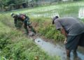 Cegah Genangan Dan Optimalkan Irigasi, Babinsa Koramil 0808/20 Sananwetan Gotong Royong Bersihkan Aliran Air Lahan Padi