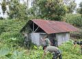 Terbengkalai Ditelan Semak, Satgas TMMD ke-130 Kodim 0206/Dairi Bergerak Pulihkan MCK Warga Sibongkaras