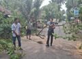 Babinsa Bantu Evakuasi Pohon Tumbang yang Menutup Akses Jalan di Dusun Dalam, Kota Pariaman