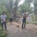 Babinsa Bantu Evakuasi Pohon Tumbang yang Menutup Akses Jalan di Dusun Dalam, Kota Pariaman