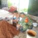 PERKUAT KOMSOS, BABINSA KORAMIL 0201-05/MB SAMBANGI USAHA JAMUR TIRAM WARGA