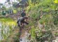 Wujud Kemanunggalan TNI Dan Rakyat, Babinsa Kedungbanteng Bersama Warga Gotong Royong Bersihkan Irigasi Sawah