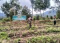 TMMD ke-130 Kodim 0206/Dairi Dukung Pengembangan Pertanian di Desa Silima Kuta
