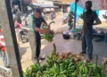 Babinsa Koramil Susoh Tinjau Hasil Ketahanan Pangan Warga, Pisang Abdya Tembus Pasar Luar Daerah