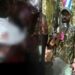 Senjata Api dan Munisi Diamankan dari Kelompok OPM Kodap Sorong Raya dalam Patroli Keamanan Koops TNI Habema di Maybrat