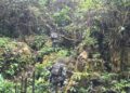 Koops TNI Habema Berhasil Amankan Kembali Senjata Caracal yang Dirampas Kelompok OPM di Maybrat