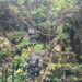 Koops TNI Habema Berhasil Amankan Kembali Senjata Caracal yang Dirampas Kelompok OPM di Maybrat