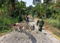 Cuaca Panas Tak Surutkan Semangat, Satgas TMMD Ke-130 Bersama Warga Percepat Penyelesaian Akses Jalan Masyarakat