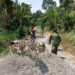 Cuaca Panas Tak Surutkan Semangat, Satgas TMMD Ke-130 Bersama Warga Percepat Penyelesaian Akses Jalan Masyarakat