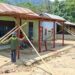 Satgas TMMD ke-130, Kebut Pemasangan Atap Rumah di Yamboi Gunung