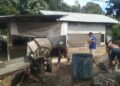 Kodim 0104/Aceh Timur Terus Pacu Pembangunan Jembatan Beton di Desa Alue Buloh 2, Progres Capai 70 Persen