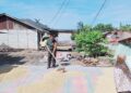 Usai Dampingi Panen Padi, Babinsa di Babahrot Bantu Petani Jemur Gabah